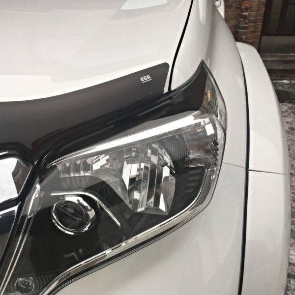 Armor Protector Land Cruiser 2018 + w/AT logo